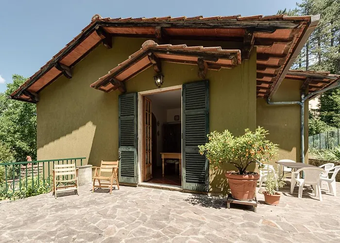 Gigli Di Firenze